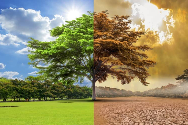 cambio climatico costa rica